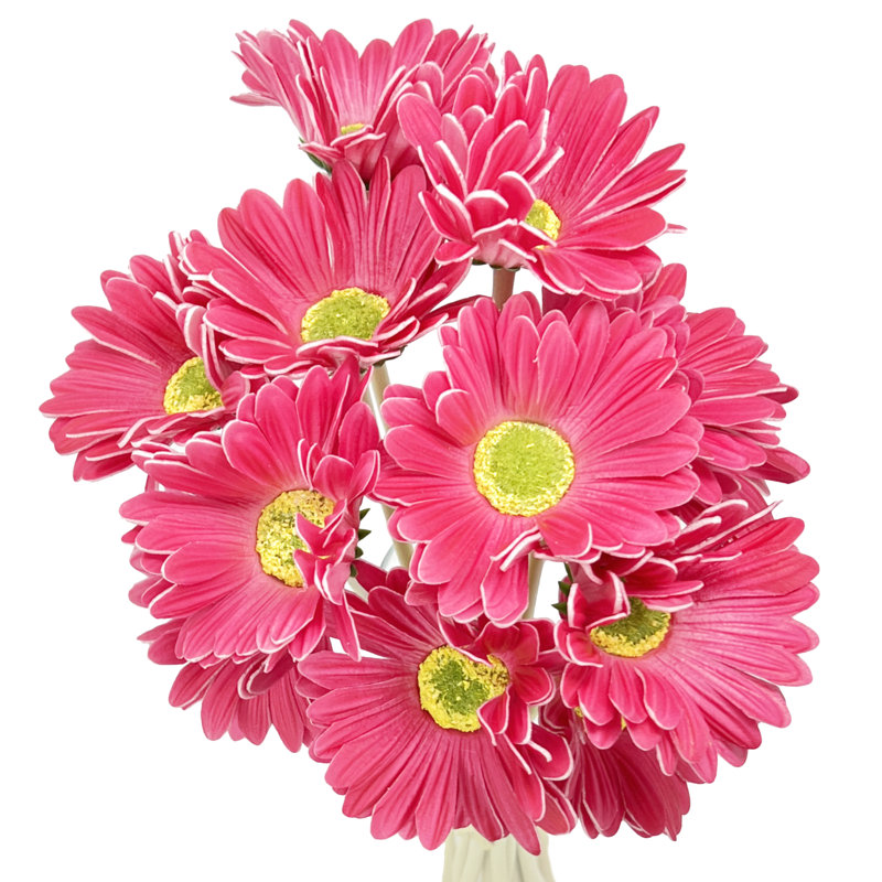 Polyether Polyurethane (PU) Daisy Arrangement, Magenta