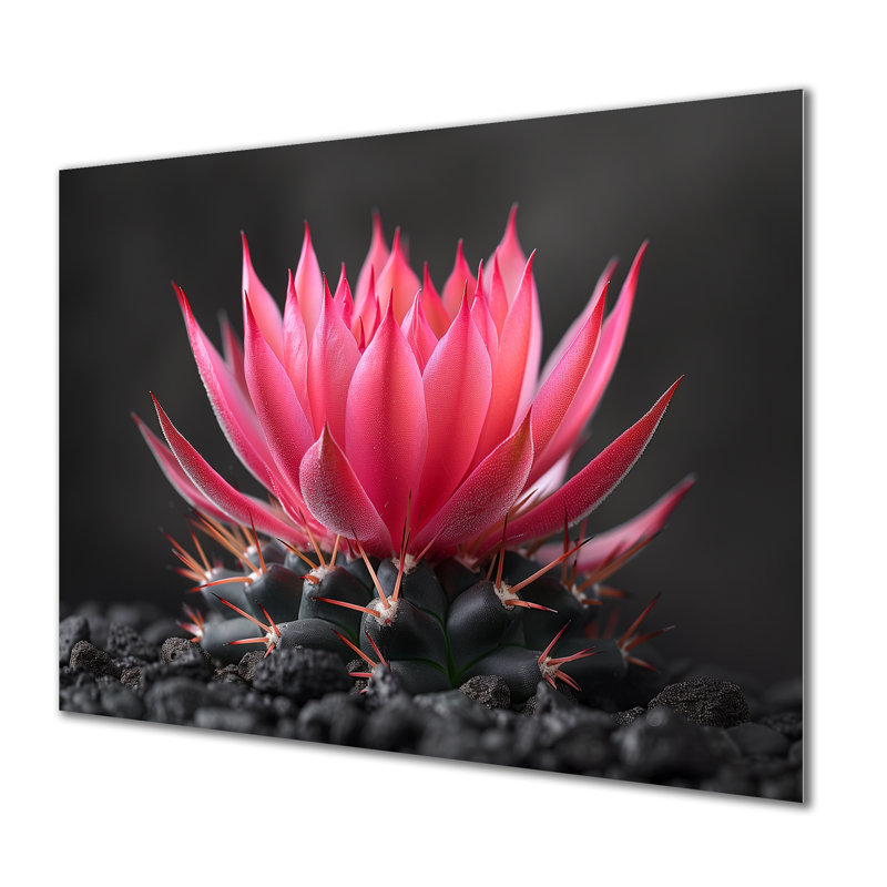Cactus rose, gris, beauté florale - décoration murale cactus floral, Métal métal, 34" H x 44" W
