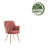 Reyansh Velvet Armchair-1961413236