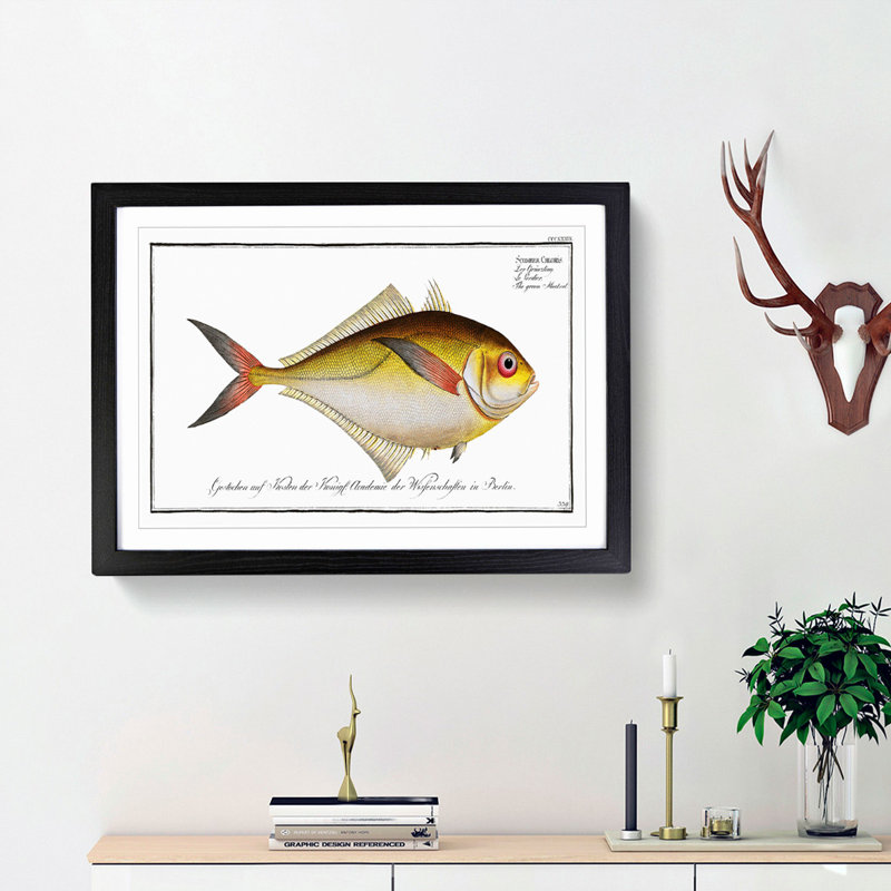 Green Mackerel Fish by M.E. Bloch - Picture Frame Painting Print, 48cm H x 65cm W x 2cm D, Black Framed