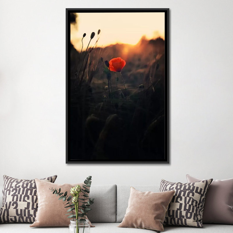 " Poppy " by Andreas Stridsberg, 26" H x 18" W x 1.5" D, Black Floater Framed Canvas, No Mat