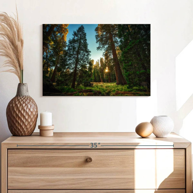Alvord Sequoia Forest Scenery