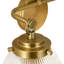 Applique murale 1 lumière globe en verre nervuré-36261014