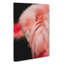 Pink Flamingo Abstract Art - Wrapped Canvas-55324792