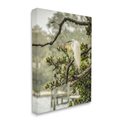 " Elegant Bird Perched Lakeside Tree " by Mary Lou Photography