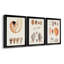 Collection de coquillages I - ensemble de 3 peintures sur toile encadrées-515866380-515866379