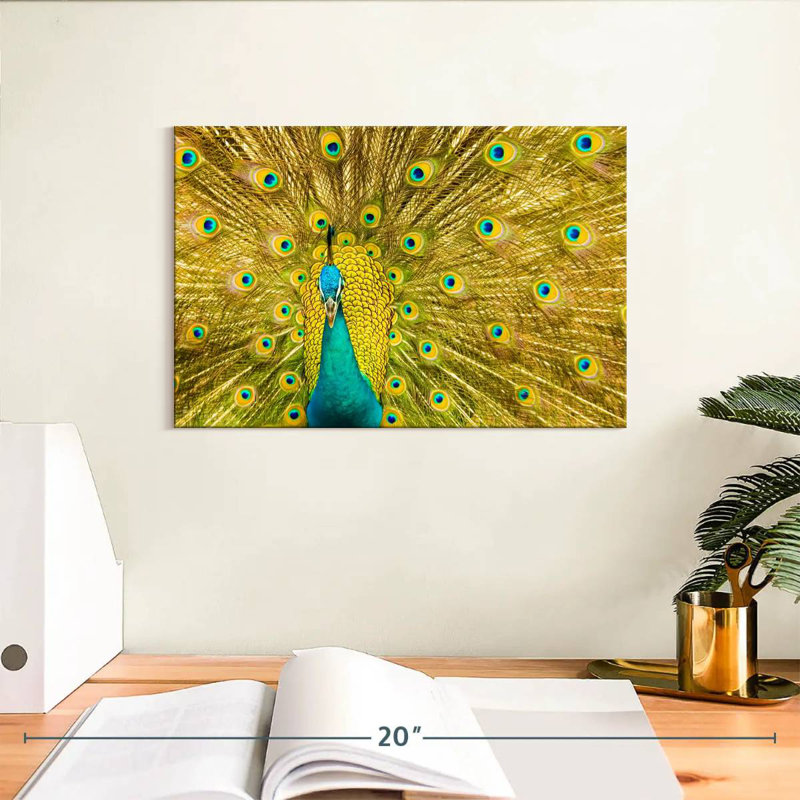 Brampt Glorious Peacock Feather, 8" H x 12" W