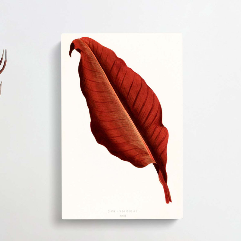 Red Leaf - Wrapped Canvas, 50cm H x 35cm W x 3cm D