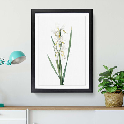 Yellow-Banded Iris Flowers by Pierre-Joseph Redoute - Picture Frame Graphic Art Print