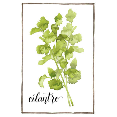 Aquarelle herbes IV