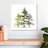 Cedar Trees-111890061