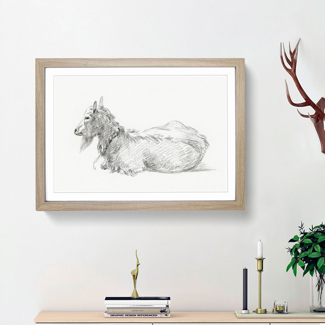 A Resting Goat by Jean Bernard - Framed Print