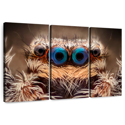 Brampt Blue Spider Eyes