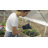 Palram - Canopia Hybrid 6' W X 8' D Greenhouse Walk-In Hobby Polycarbonate Aluminum Frame Greenhouse Kit With Roof Vent - Gray-314629674-356792576