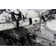 Tapis abstrait gris / noir Willmar