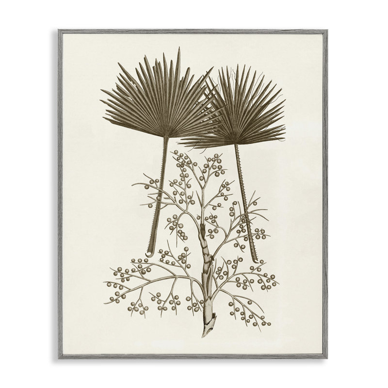 Giclée encadrée de feuilles de palmier et d'olivier, conception de Phillipa Katz, Estampe numérique Farmhouse