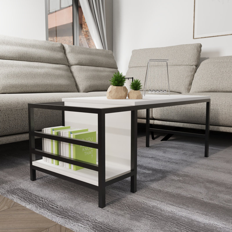 Aliona Coffee Table with Storage, White/Black