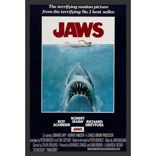 « jaws », affiche rétro encadrée de films