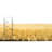 Zuniga Indoor Rug-836436659