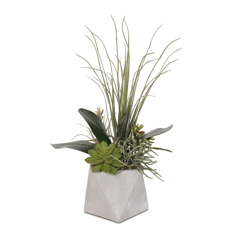 Faux Succulent, Airplant (Tillandsia), Cactus Succulent in Stone Pot