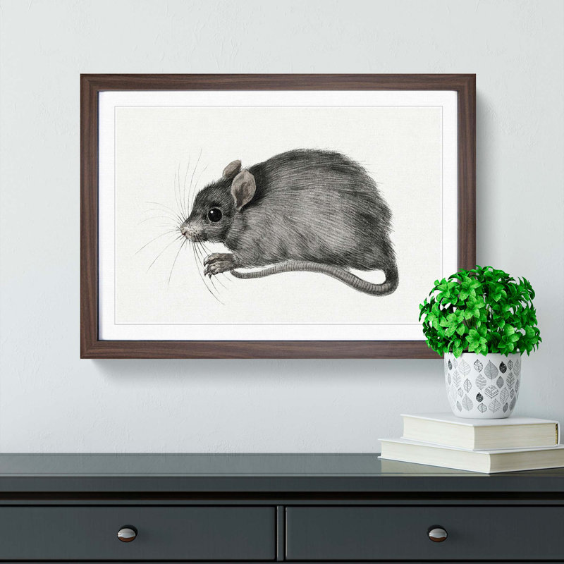A Mouse by Jean Bernard - Framed Print, 24cm H x 33cm W x 2cm D, Walnut Framed