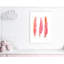 Roulé «Pink Feathers», impression sur papier-47479521