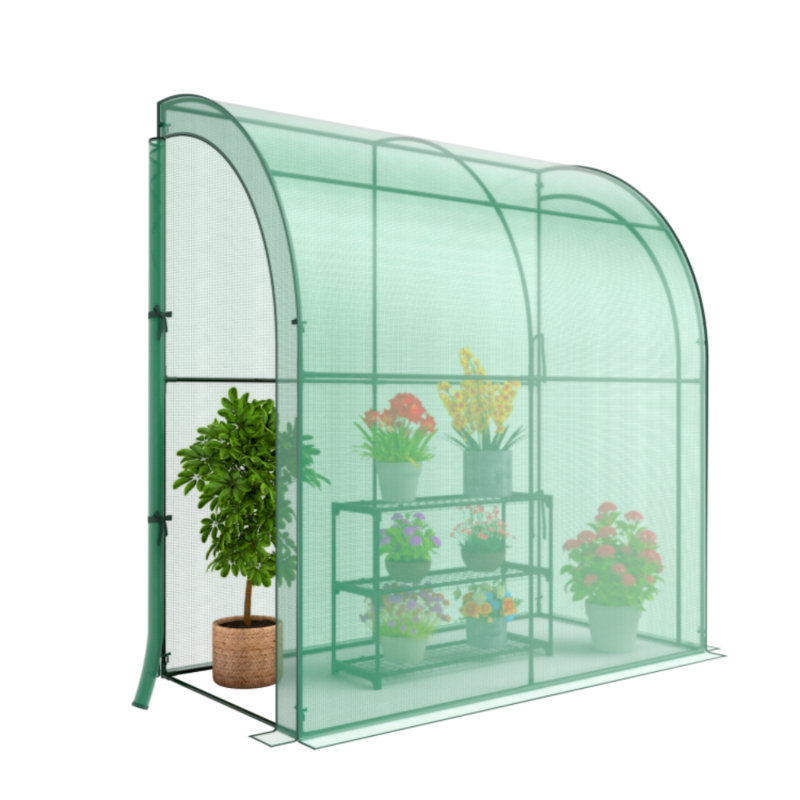 Serre Lean-To l 6,54 pi x P 3,20 pi