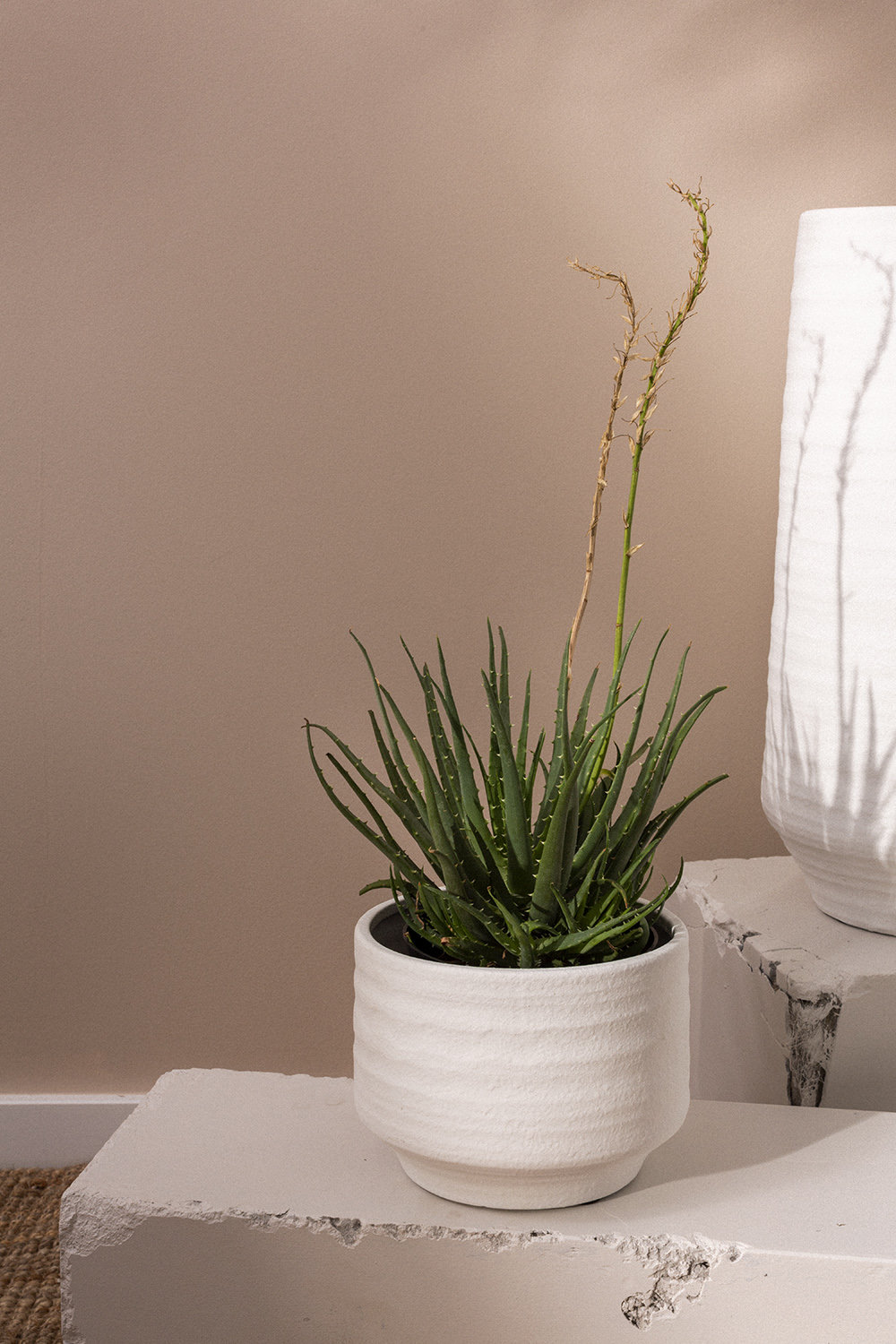 Canella 10" Pot Planter, 6" H x 7.5" W x 7.5" D