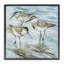 «Wetlands Sandpiper Trio», estampe numérique de Susan Winget-114341430-114341431