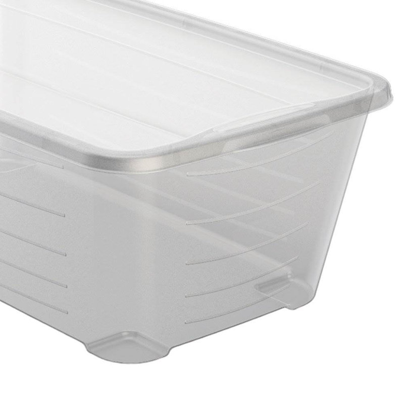 Life Storey 5.7L Shoe and Closet Storage Box Stacking Containers, Clear, 4