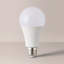 E27 LED GLS Light Bulb-73097209-124213082