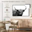 BW Highland Cow-107510148