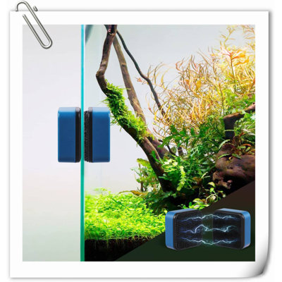 Everetta Aquarium Accessory