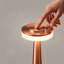 Metal Novelty Lamp-70540047
