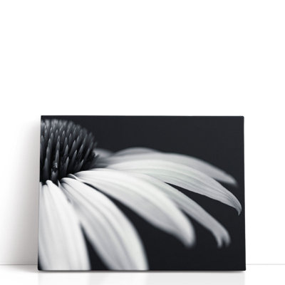 Coneflower gros plan - reproduction d'art sur toile