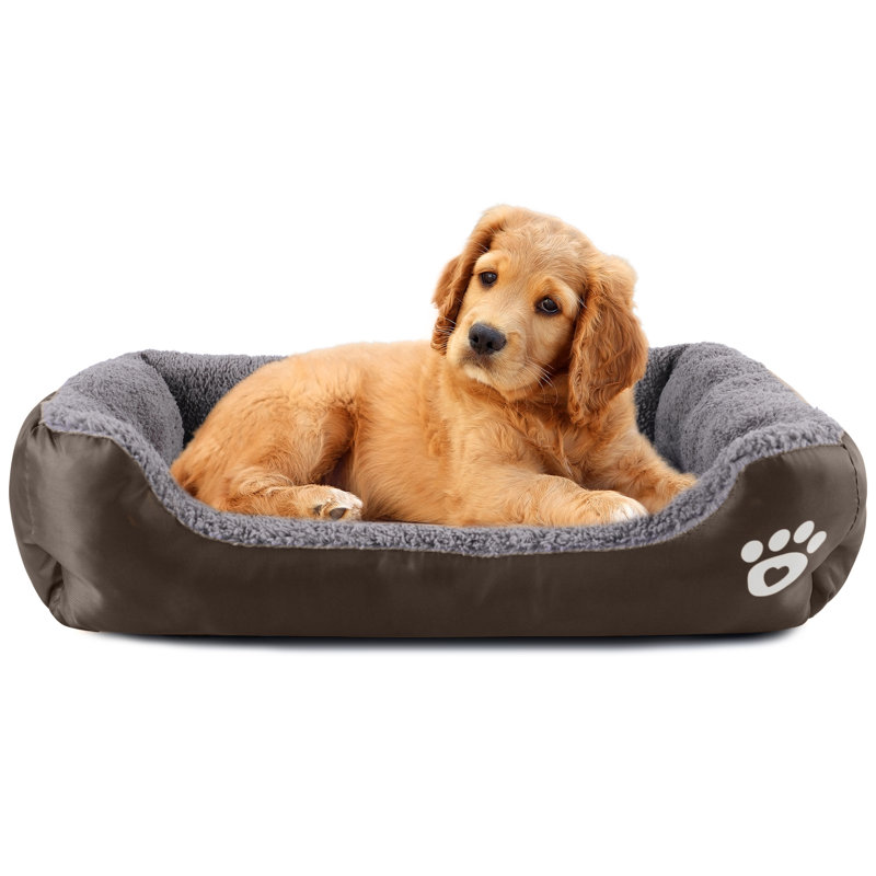 Lit pour chien Goncalves, Café, Grand (l 37,4 po x P 29,5 po x H 5 po)