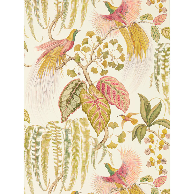 Bird of Paradise 10.05m x 68.6cm Matte Wallpaper Roll, Beige/Olive/Pink