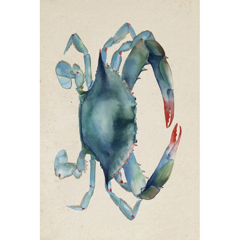 Sea Dweller III by Grace Popp - Wrapped Canvas Painting Print, 46cm H x 30cm W, Wrapped Canvas