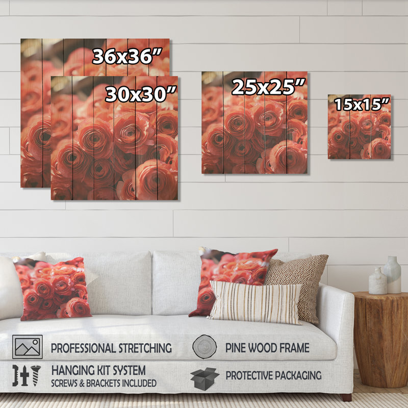 Ranunculus rose, couches de beauté - renoncule sur bois, H 15 po x l 15 po