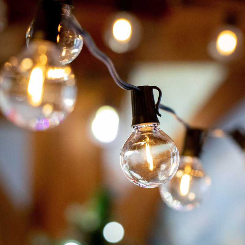 Doyne 25'' Outdoor LED 25 - Bulb Globe String Light (End to End Connectable), Black