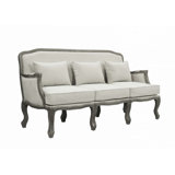 Transitional Style Sofa With Pillows