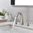 2-handle Bathroom Faucet with Drain Assembly-58689374