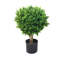 60.96cm Faux Boxwood Topiary in Pot