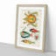 East Indies Fish & Crab Illustrations XLVI by Louis Renard - Picture Frame Painting Print-55547296-55547299