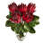Protea Arrangement in Vase