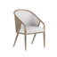 Finn Upholstered Arm Chair