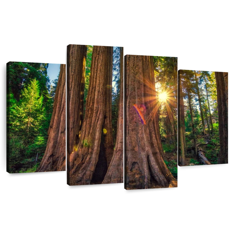 Forêt Harnek Grant Grove, H 22 po x l 36 po