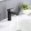 Robinet de lavabo à poignée simple-119210017