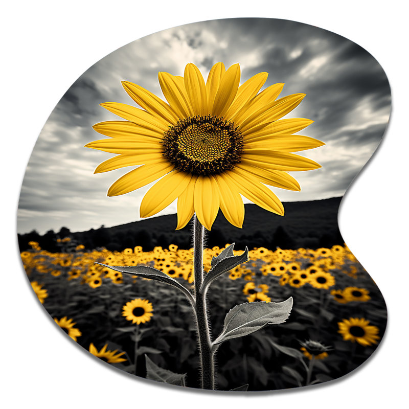 Décoration murale Newberry - Sunflowers, H 33 po x l 33 po
