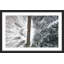 « frozen trees », reproduction de photo encadrée-18346987